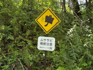 軽井沢星野エリアの散歩道には「ムササビ注意」の看板が。
