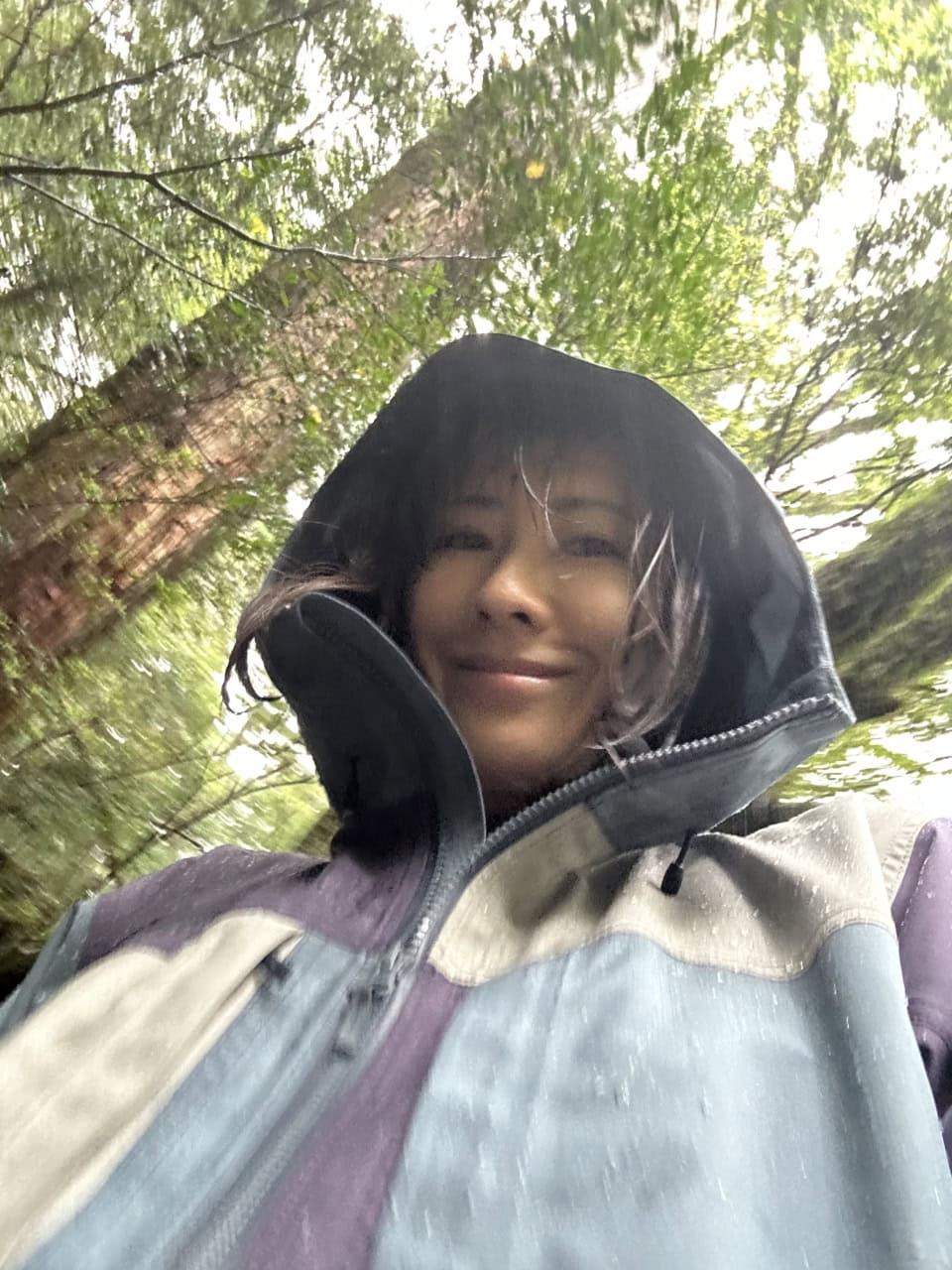 雨のヤクスギランドではTHE NORTH FACEのハイカーズジャケットが大活躍！